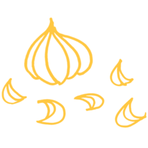 garlic and garlic cloves outlines on a white background